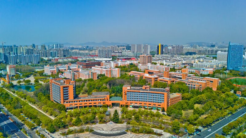 三极管：揭秘2024年十大品牌背后的技术实力**